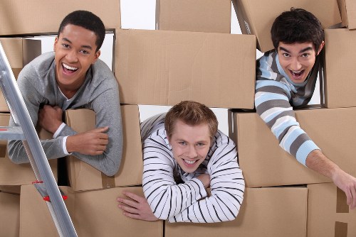 Illustration of an accessible moving service website opening section